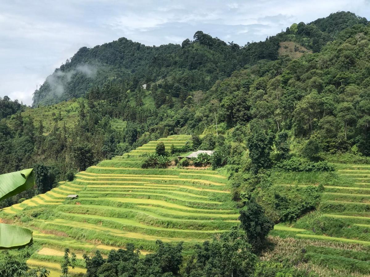 So H'Mong Homestay Bac Ha  Kültér fotó