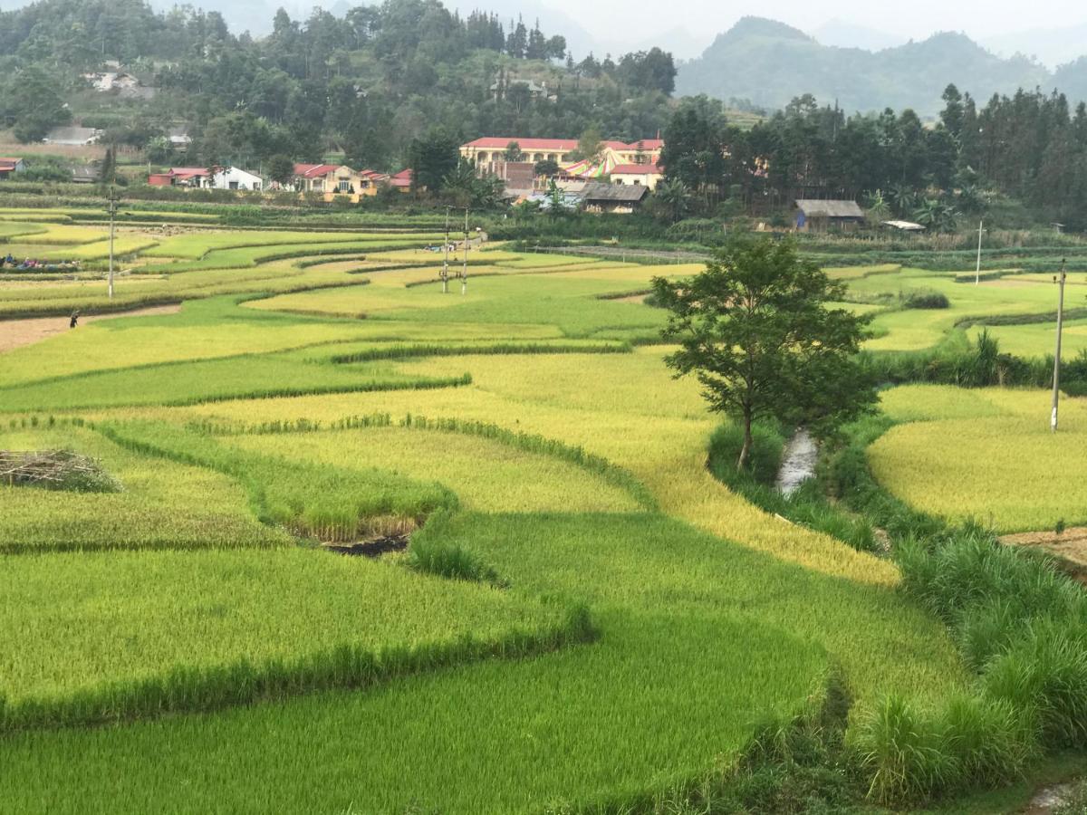 So H'Mong Homestay Bac Ha  Kültér fotó