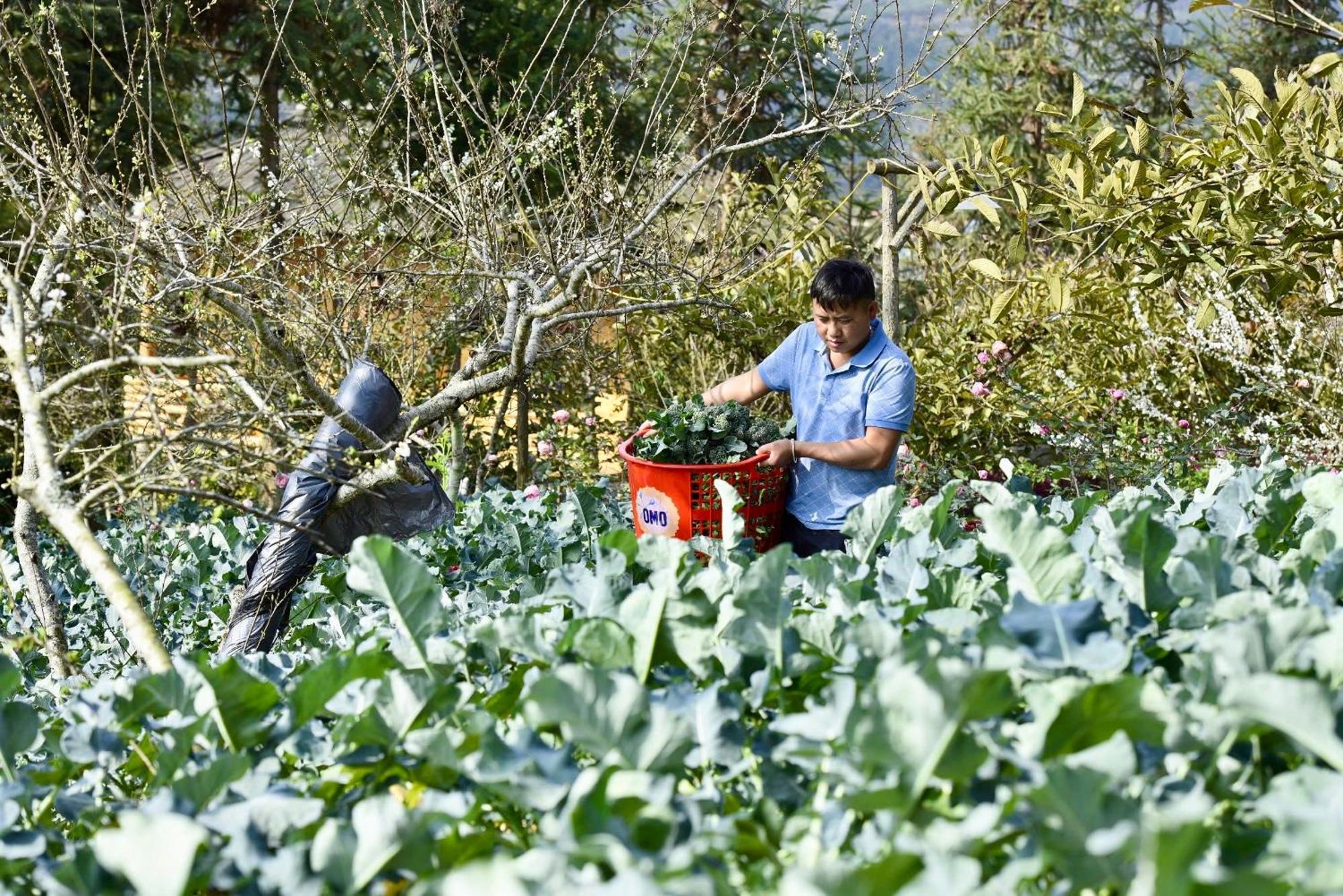 So H'Mong Homestay Bac Ha  Kültér fotó
