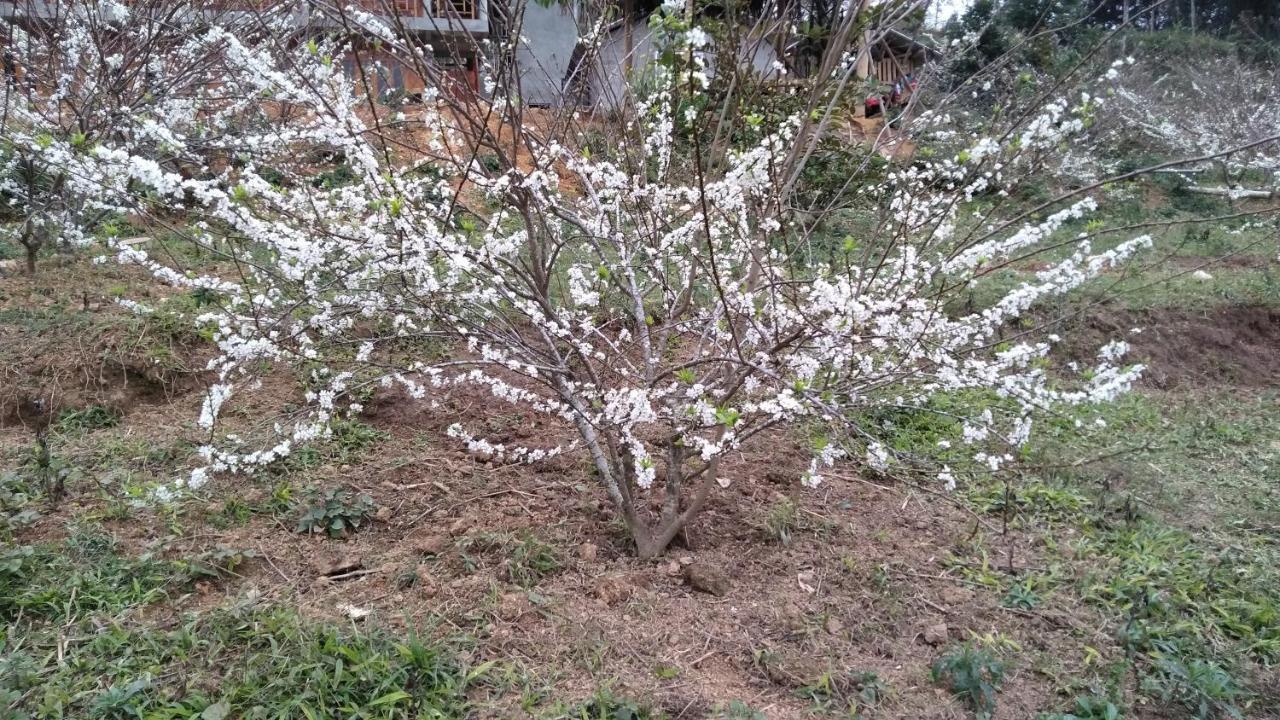 So H'Mong Homestay Bac Ha  Kültér fotó